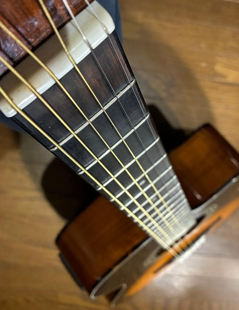 ☆超美品！超低弦高 弾き易さ抜群！ Morris FC-2ⅡTS 試聴