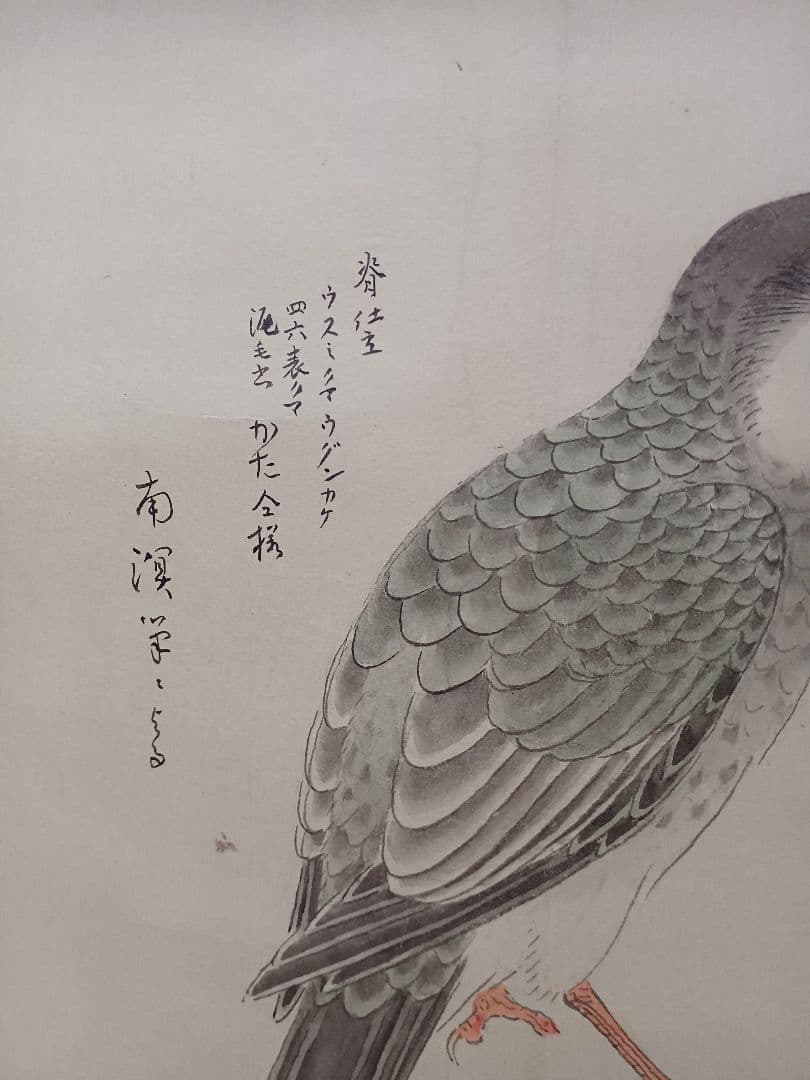 江戸屋の原画　掛け軸 　1265x540mm E818 三寳鳥　春木南溟