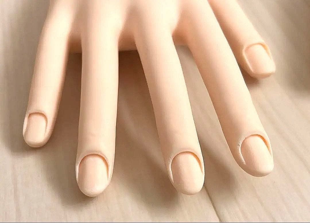 JNEC認定モデルハンド