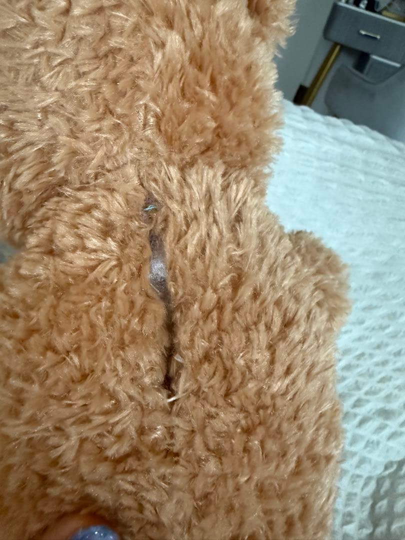 【超希少】ダッフィー•シェリーメイ　アミューズメント限定　12年前