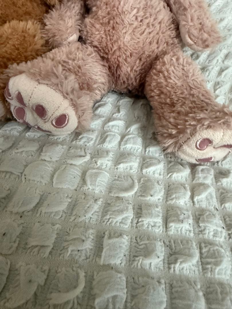 【超希少】ダッフィー•シェリーメイ　アミューズメント限定　12年前