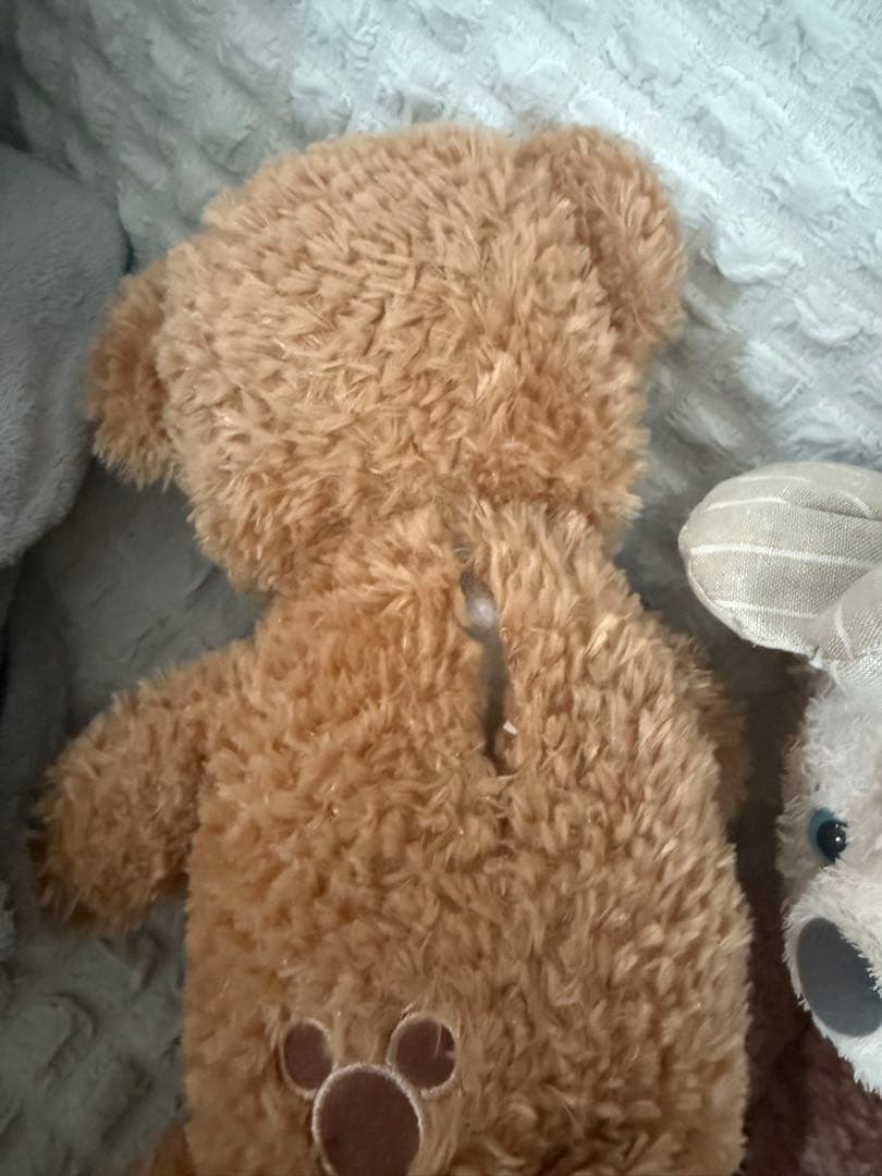 【超希少】ダッフィー•シェリーメイ　アミューズメント限定　12年前