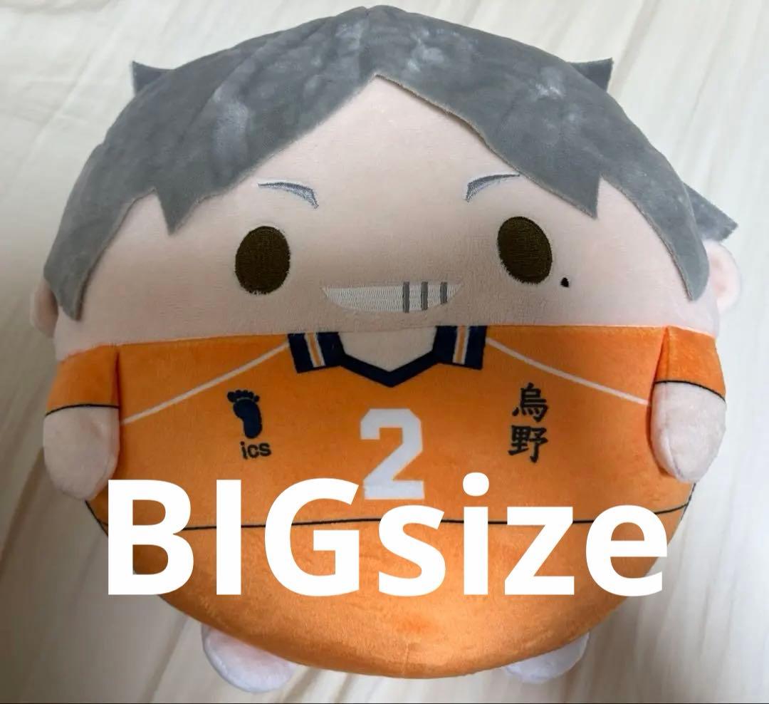 ハイキュー 菅原孝支 ふわコロりん BIG セカユニ 3 - メルカリ