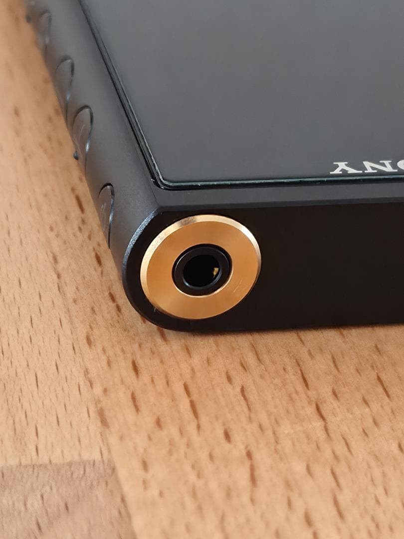 SONY ウォークマン NW-ZX507 専用レザーケース＋おまけ付き