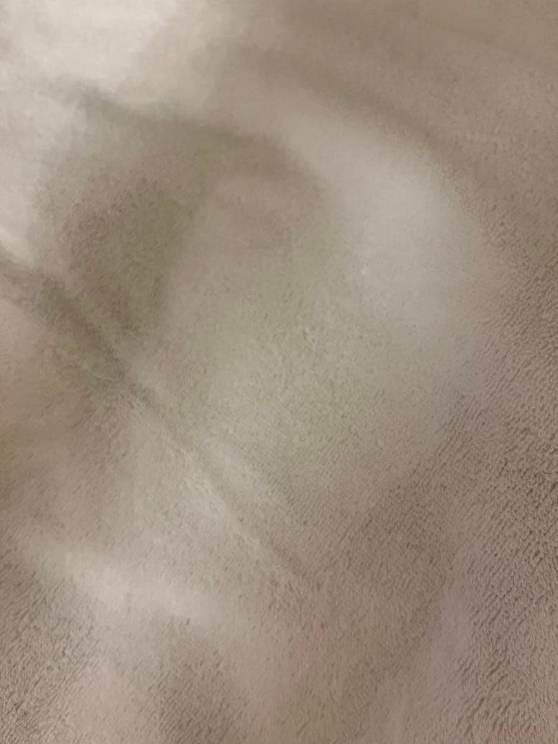 リゼロ 誕生日生活 ベアトリス グラフィックGrandタオル