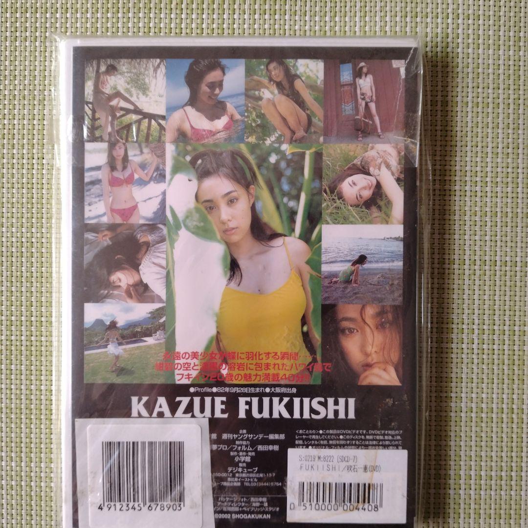 FUKISHI 吹石一恵 DVD