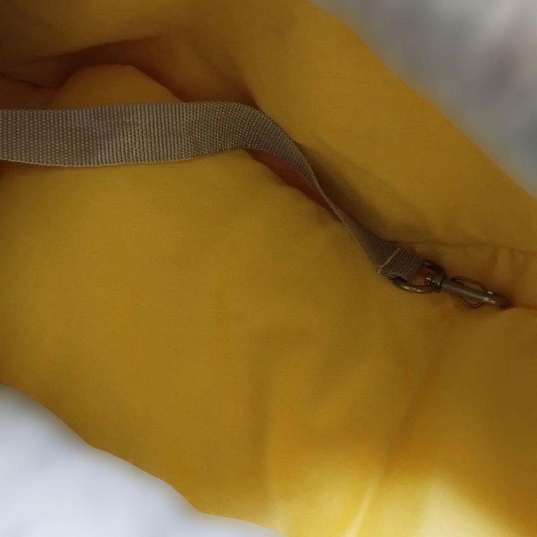 ほぼ未使用】限定ファンドルペットスリング スタンダードサイズ グレイ