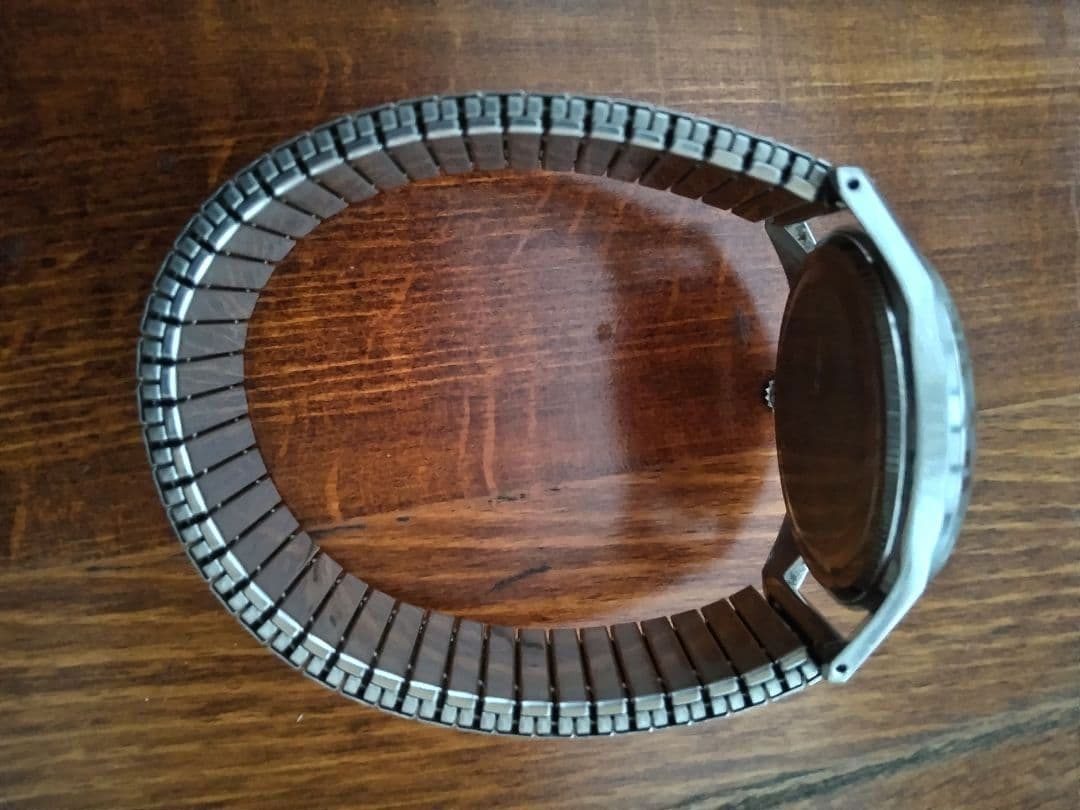 セイコー チャンピオン アルピニスト DIASHOCK 17J レア品