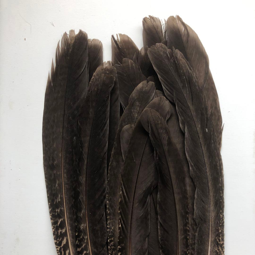【H-40】天然　鳥　羽・羽根25枚★消毒済★