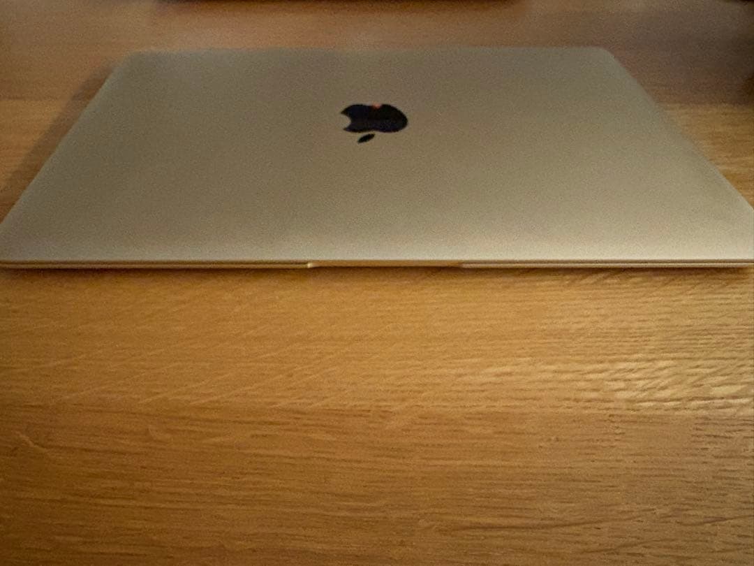 MacBook本体 MacBook 2015 1.2GHz 500GB