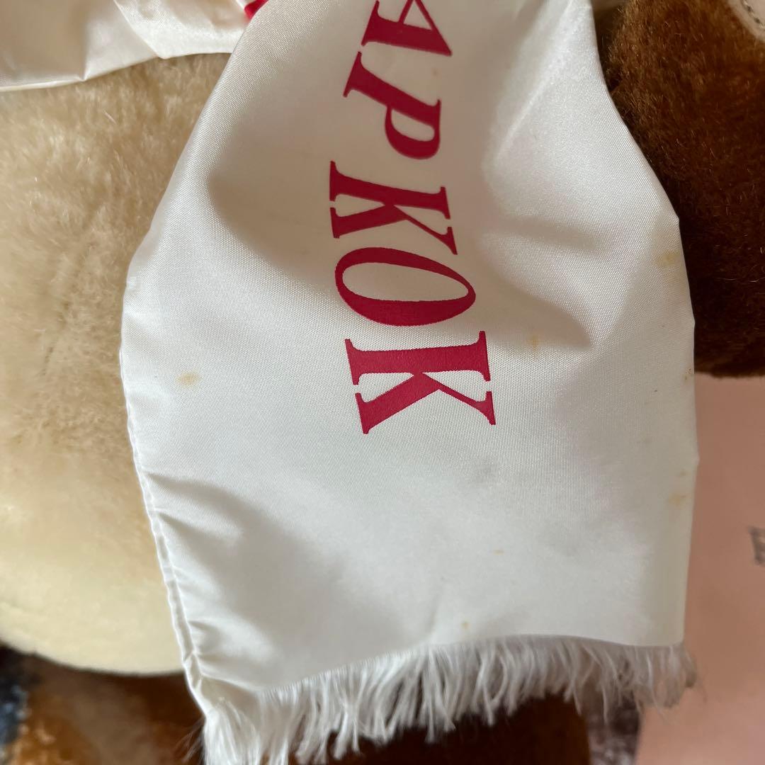 CHEK LAP KOK空港記念チーキー パイロットベア大