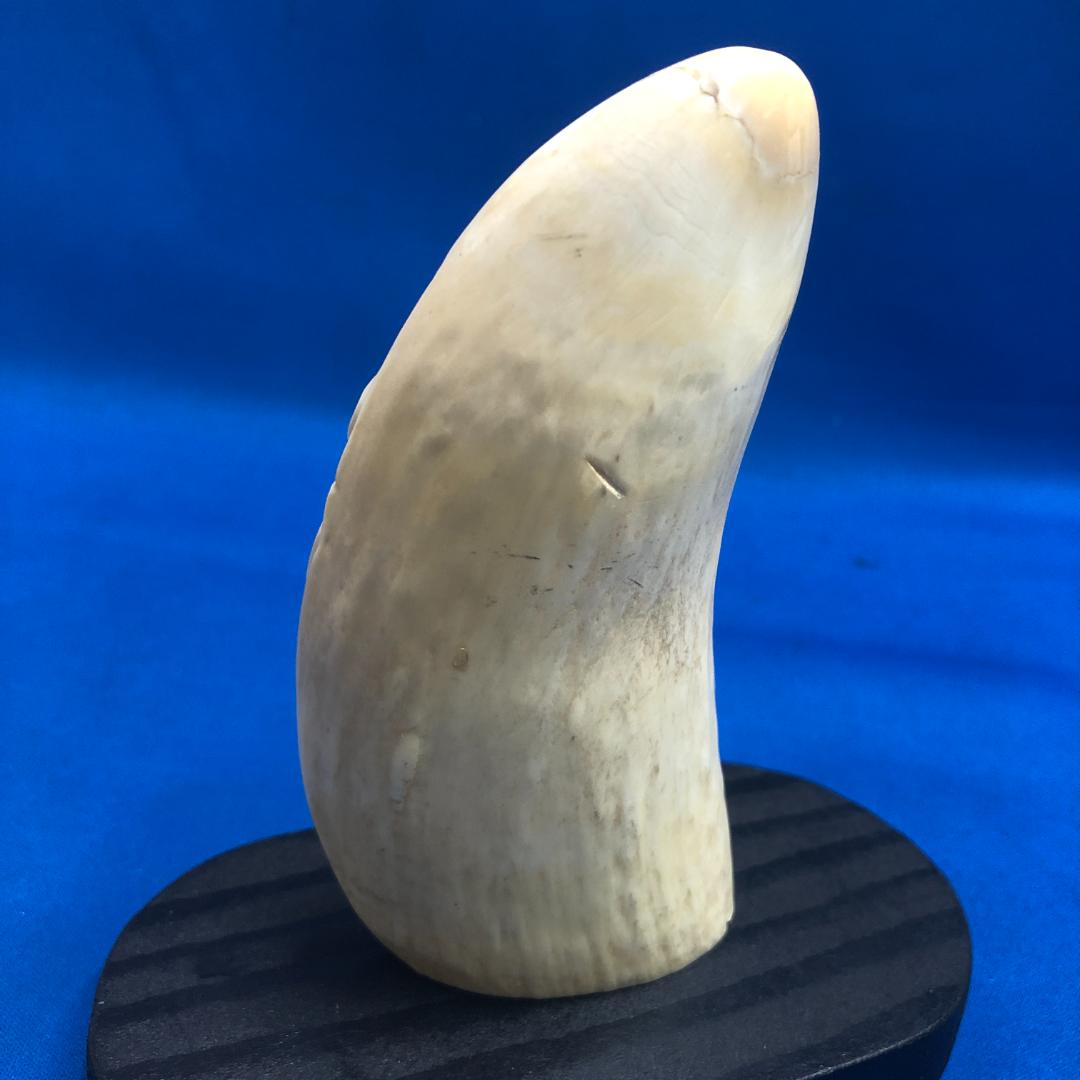手彫鯨牙工芸品 辰置物玉峰希少鯨歯