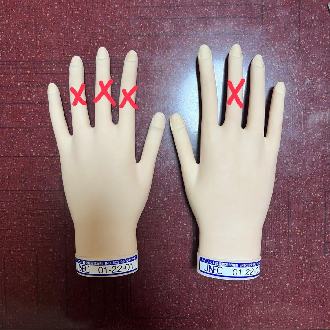 ネイリスト技能検定試験用 モデルハンド JNEC 認定モデルハンド - メルカリ