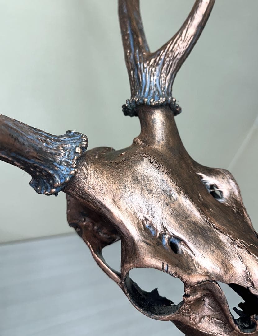 鹿のskull（頭蓋骨)ペイント値下げ