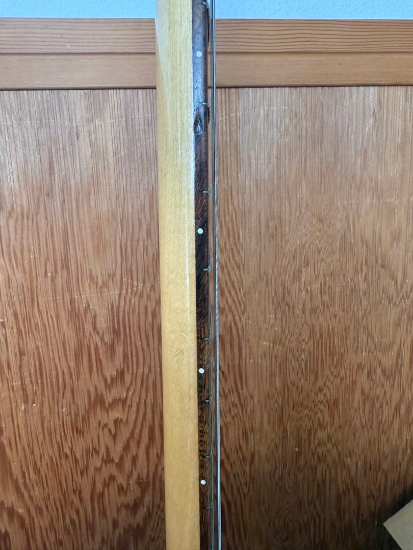 FERNANDES JG-45 レッド ジャガー フェルナンデス