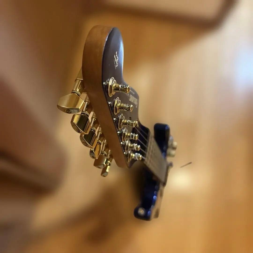 FERNANDES THE FUNCTION ストラトゴールドパーツ仕様アーム付