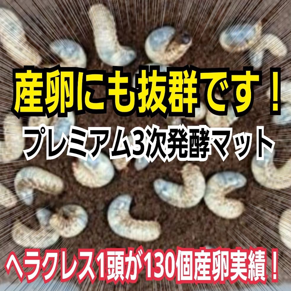 プレミアム3次発酵カブトムシマット 100リットル ヘラクレス181ミリ