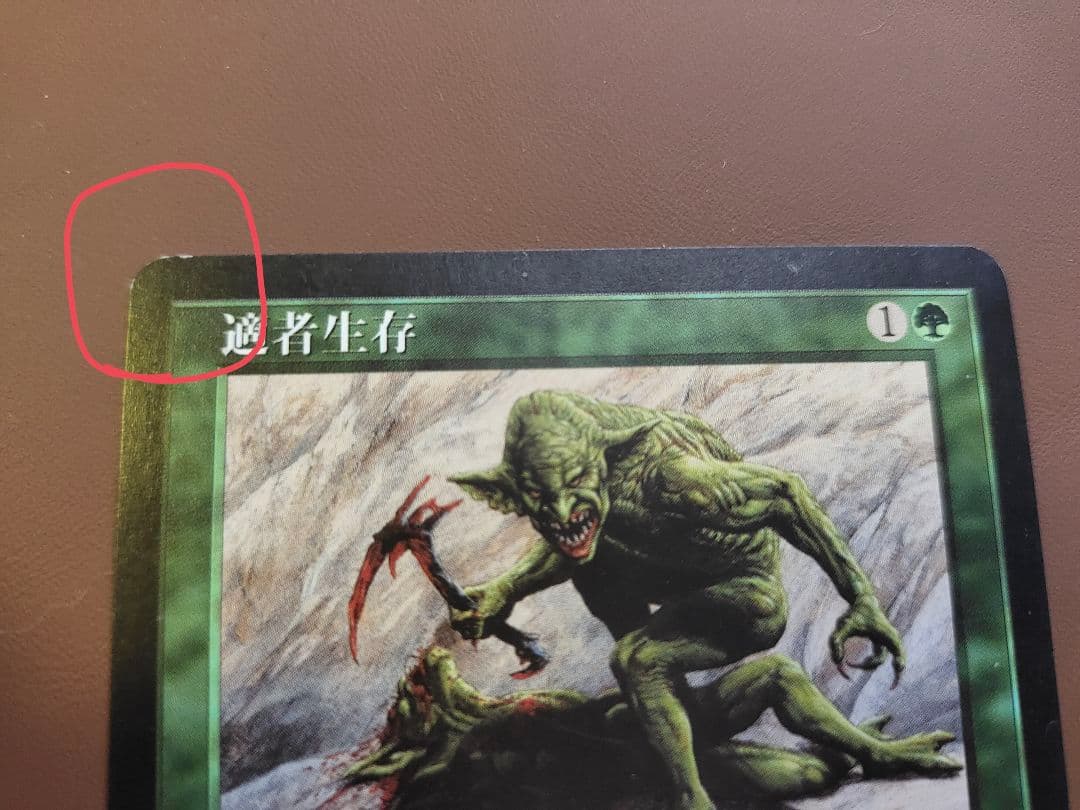 適者生存 日本語版