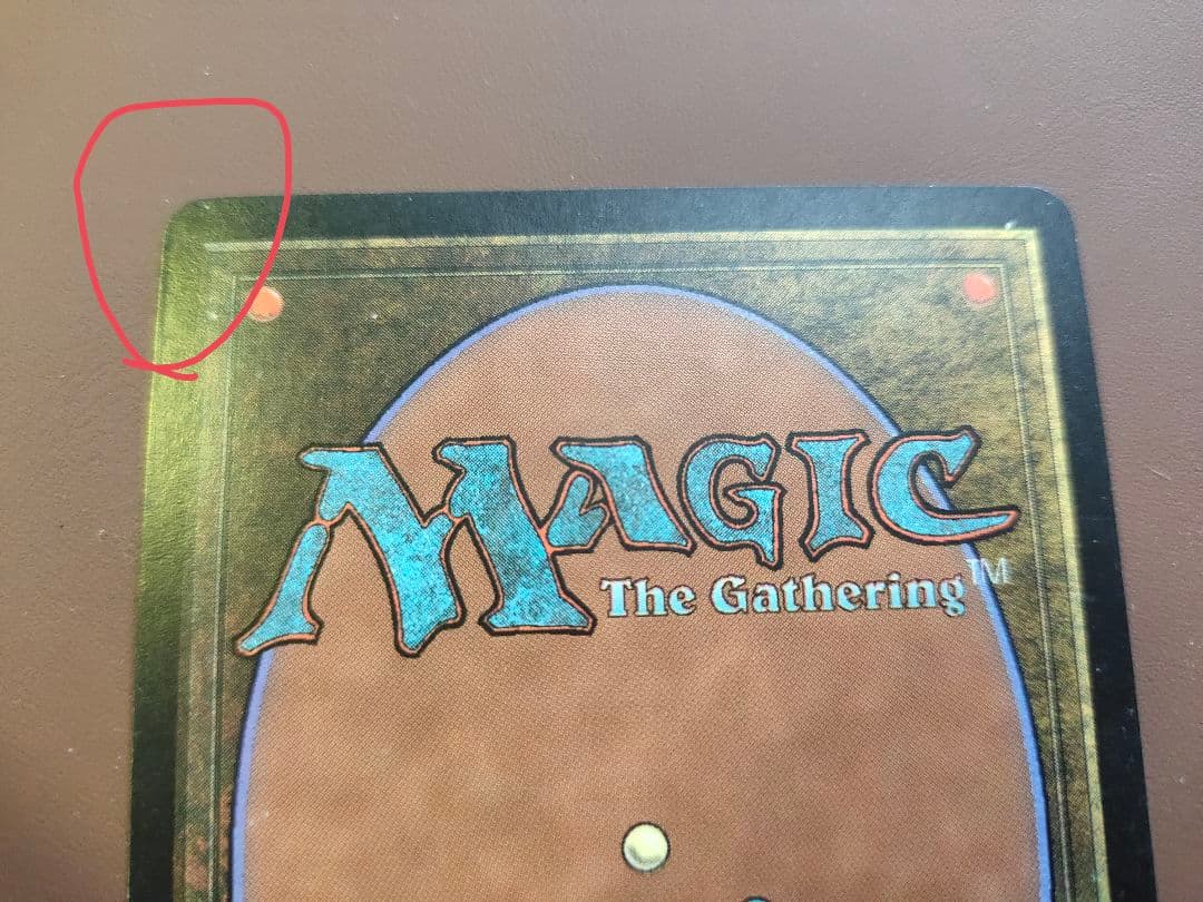 適者生存 日本語版