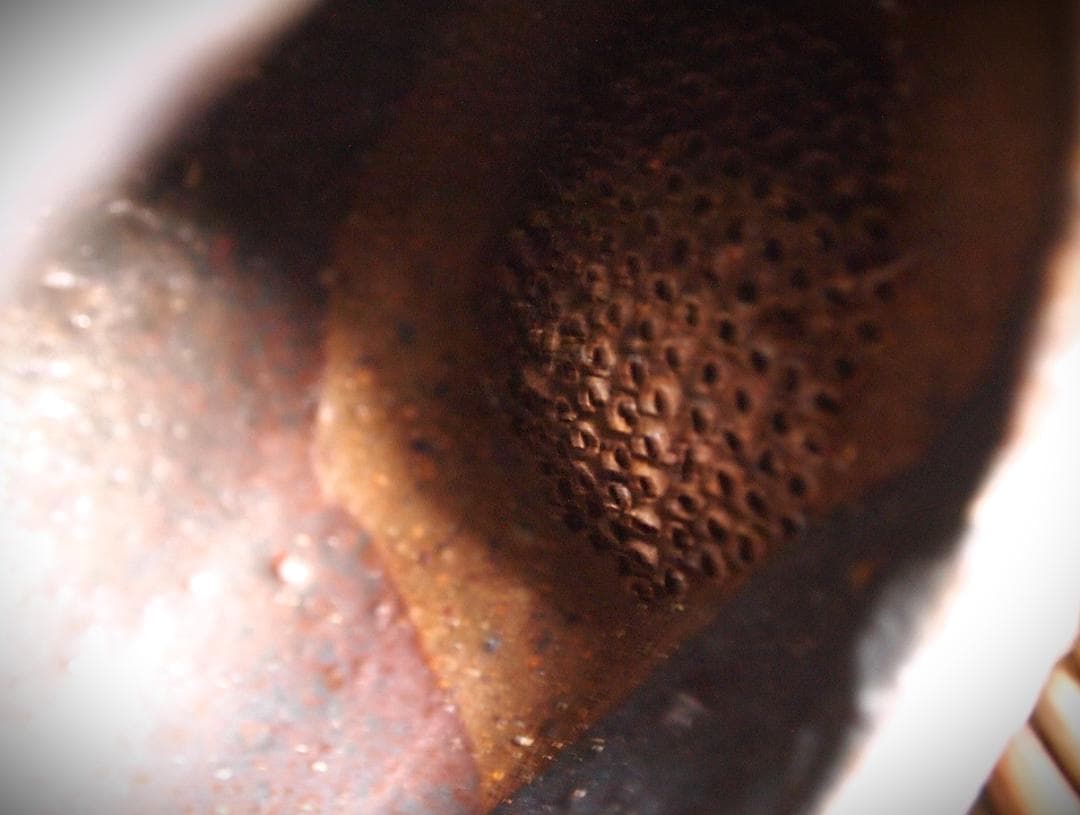 人気作家☆加地学【師：森岡成好】☆窯変黒土瓶 - メルカリ