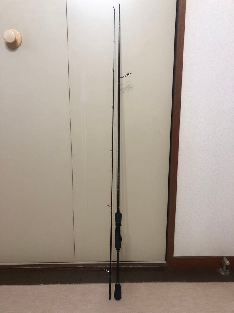 コスタリカ産 レスプレンデンスキンイロコガネ 21mm