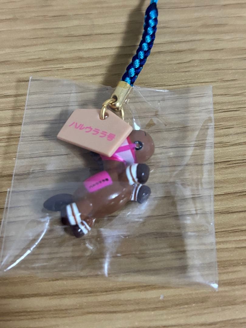 高知競馬 ハルウララ号 根付け　#1