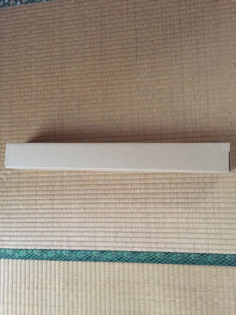 橋本梨菜 等身大ポスター 新品未開封 アサ芸シークレット 姉セーラー2023