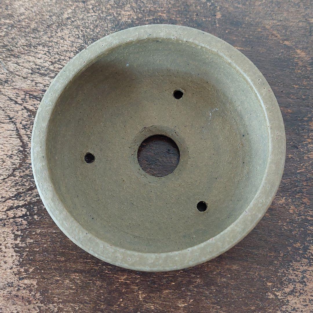 盆栽鉢　盆栽　常滑焼