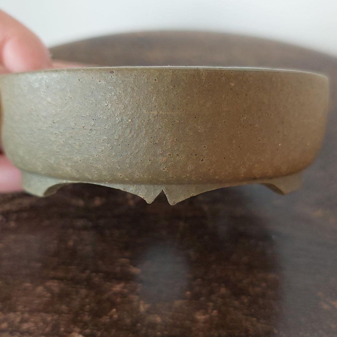 盆栽鉢　盆栽　常滑焼