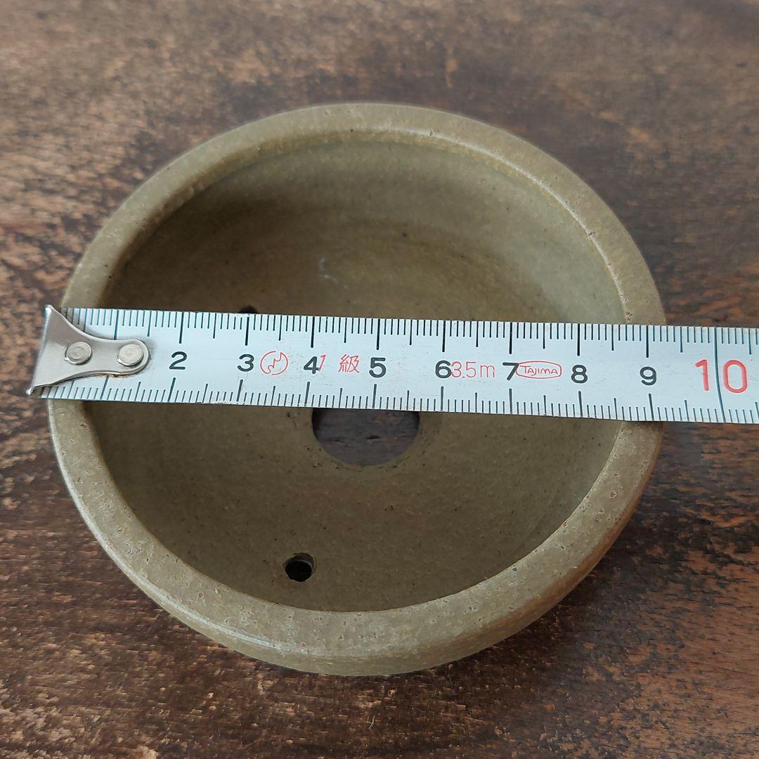 盆栽鉢　盆栽　常滑焼