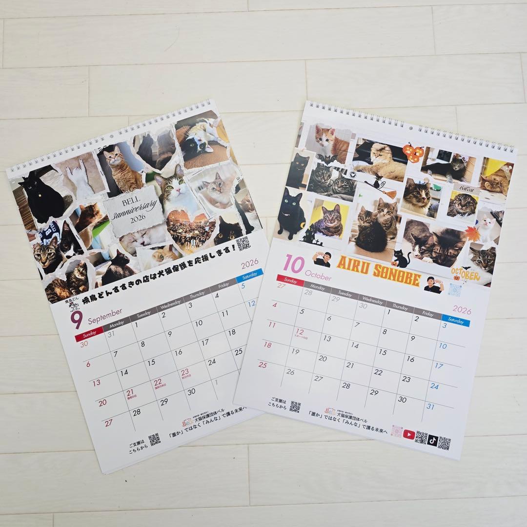 ③《猫》壁掛けチャリティーカレンダー10枚セット