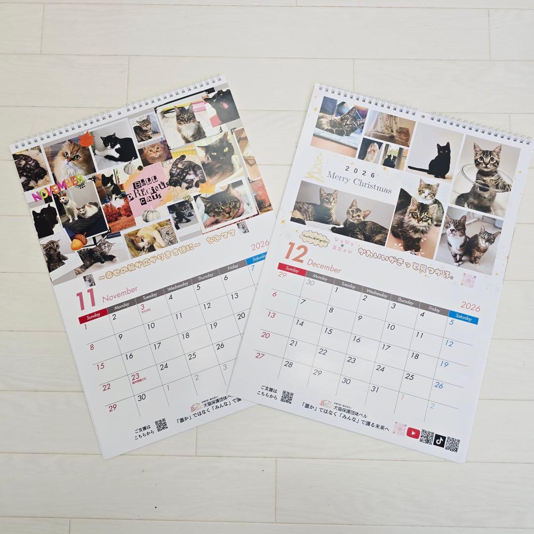 ③《猫》壁掛けチャリティーカレンダー10枚セット