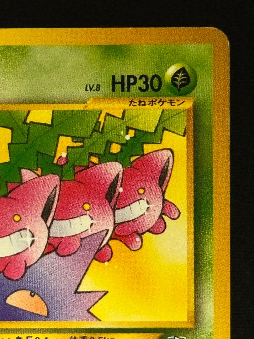 ハネッコカード未開封)ポケモンカードになったワケ5 ポケモンカードに