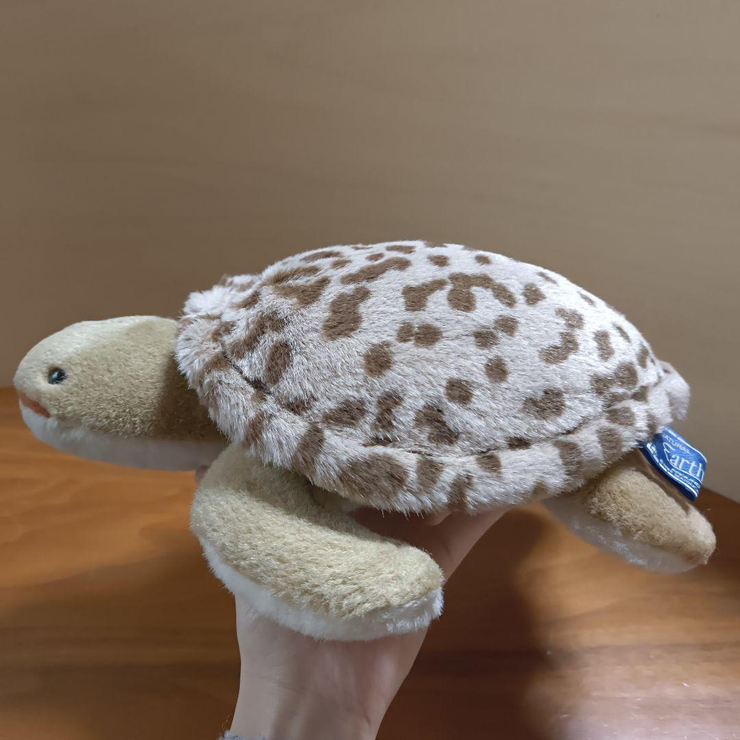 Earth Wind セキグチ　ウミガメ　ぬいぐるみ　アースウィンド　海亀