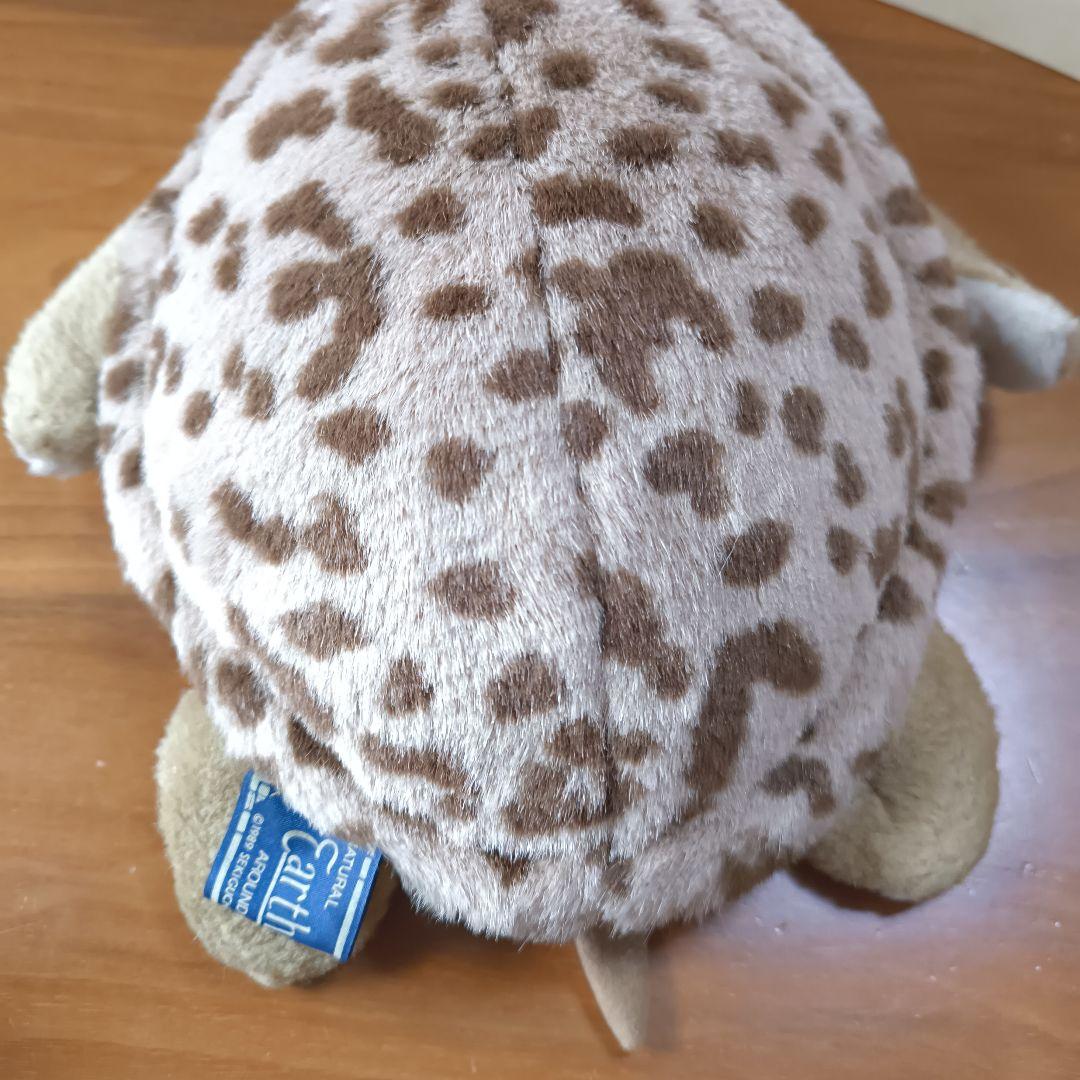 Earth Wind セキグチ　ウミガメ　ぬいぐるみ　アースウィンド　海亀