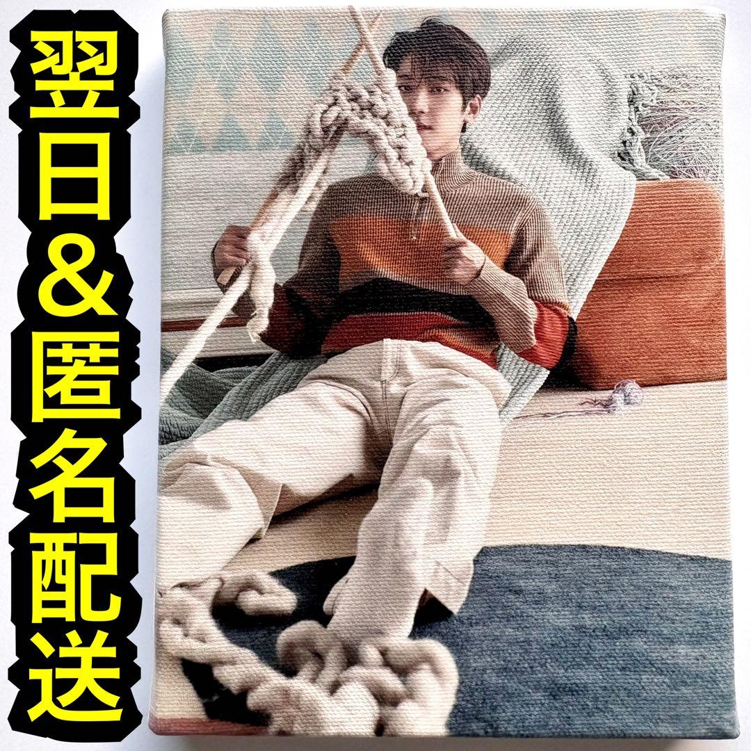 超希少‼︎ seventeen あいのちから キャンパス　フォトキャンバス ウォヌ