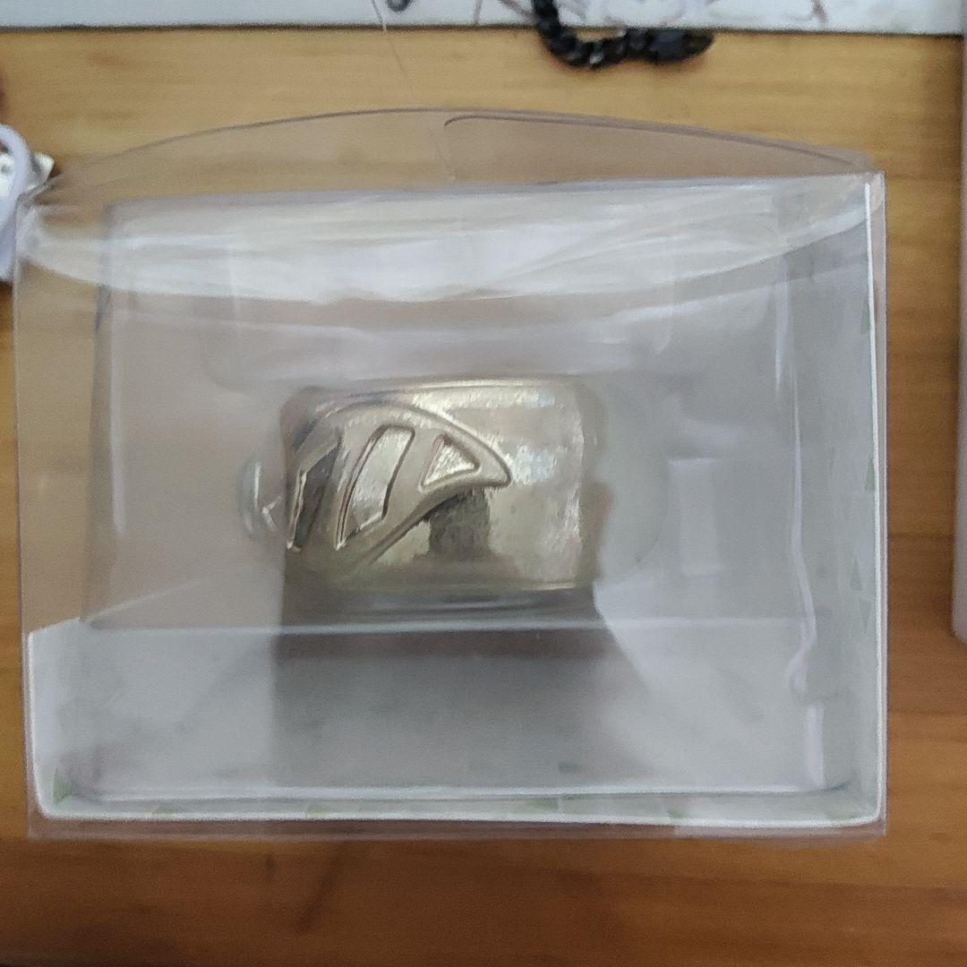 Pokémon LEGENDS Z-A バングル