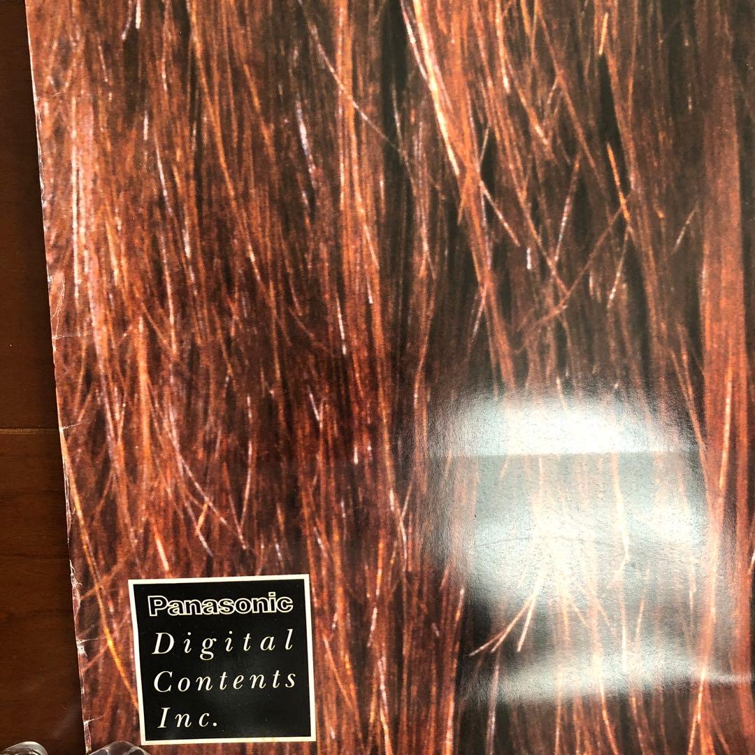 難あり　梅宮アンナ B1特大 ポスター DVD STYLE Annaパナソニック