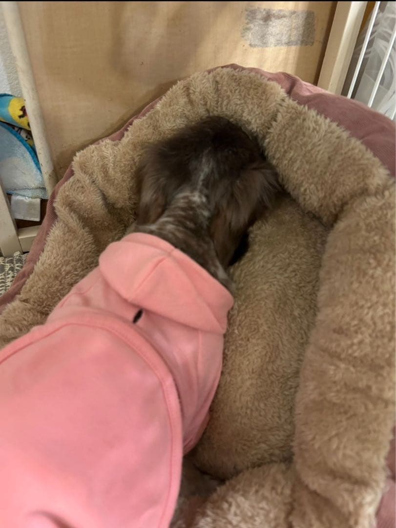 anna 様 ご確認用 です。