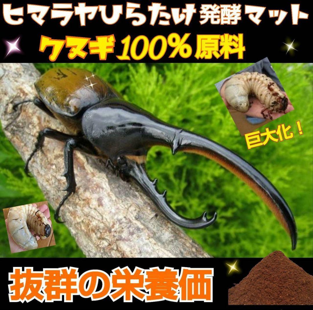 カブトムシ幼虫が大きくなる！発酵マット【90リットル】保存に便利な