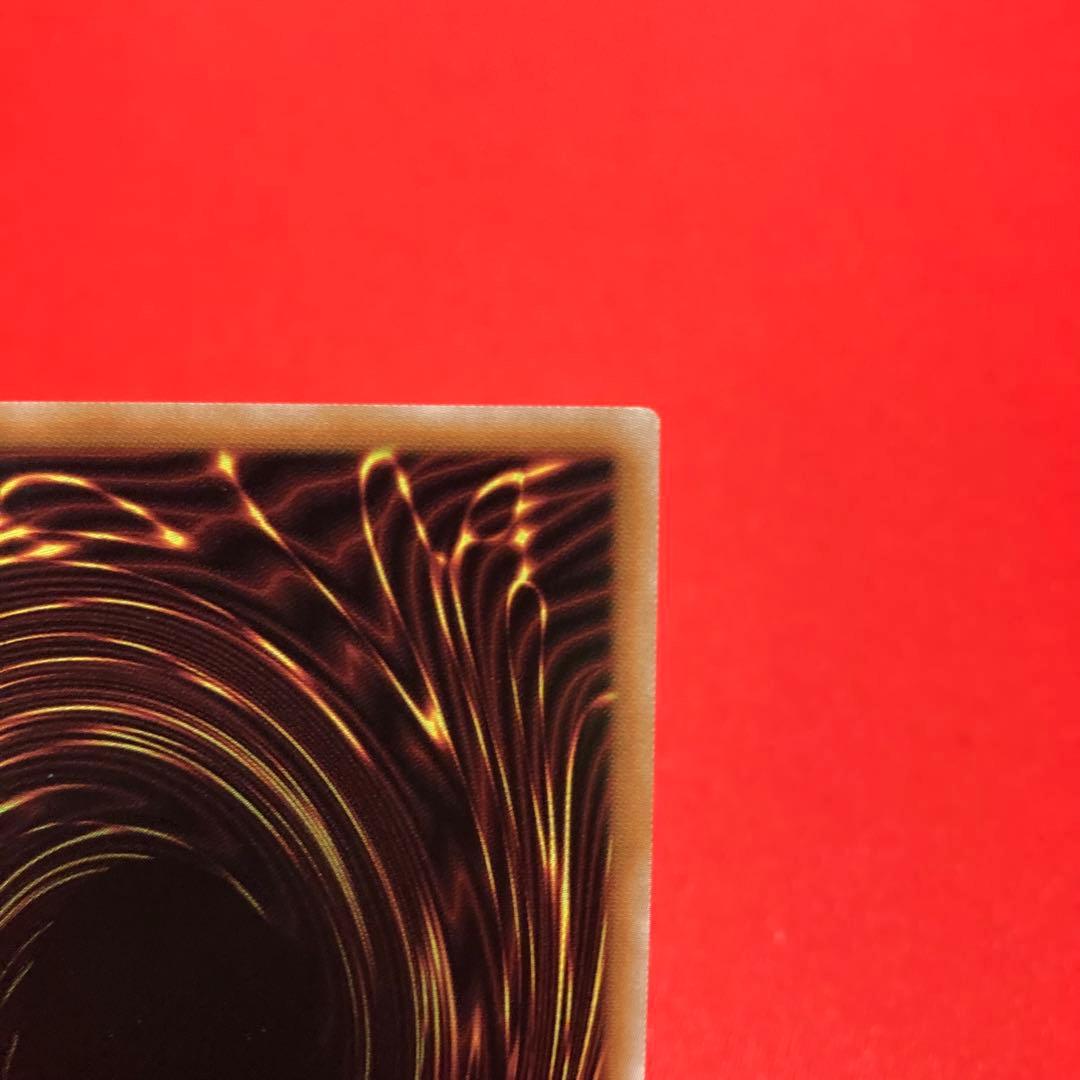 遊戯王　清冽の水霊使いエリア　クォーターセンチュリーシークレットレア ①