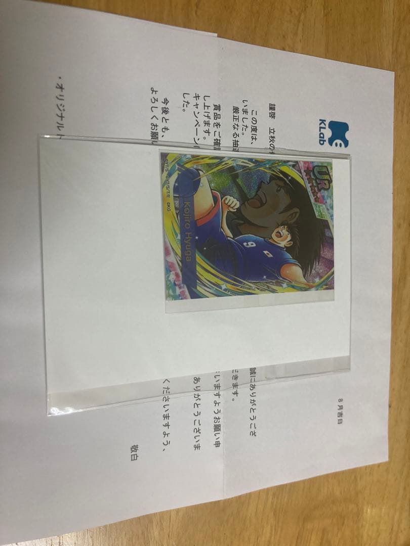 キャプテン翼 たたかえドリームチーム カード 日向小次郎