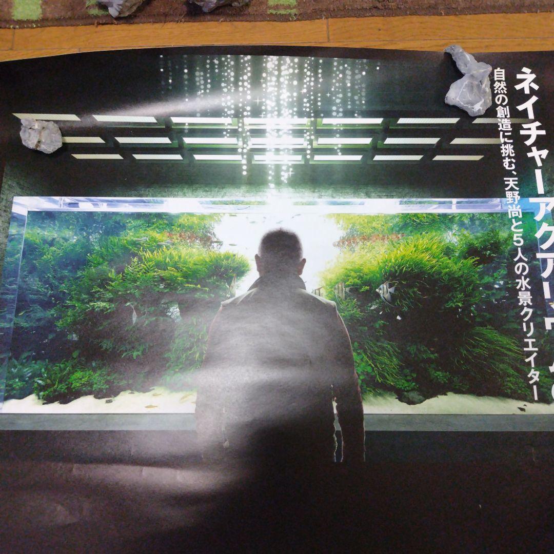 非売品 ADA アクアデサイアマノ氏 ④ADA 鉢 水草 アクアデザインアマノ