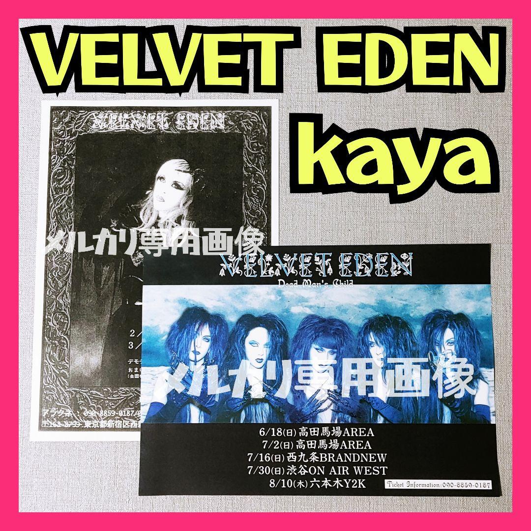 VELVET EDENフライヤー Kaya Schwarz Stein DADA Dada. VELVET EDEN.