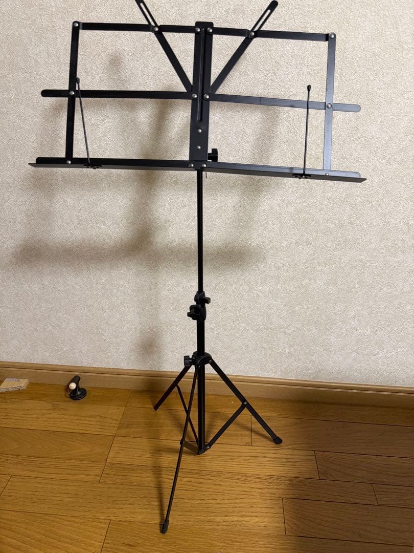 にぼしYAMAHA ヤマハ Violin V10G Anno:2010