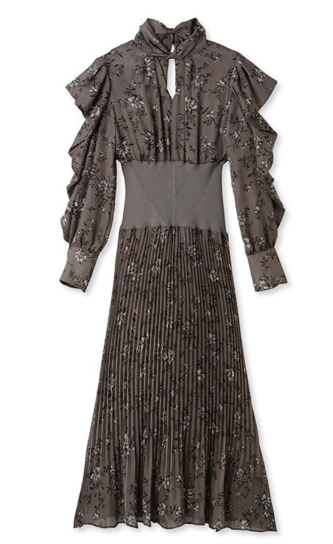 希少中国微墨 2種 猿 金魚