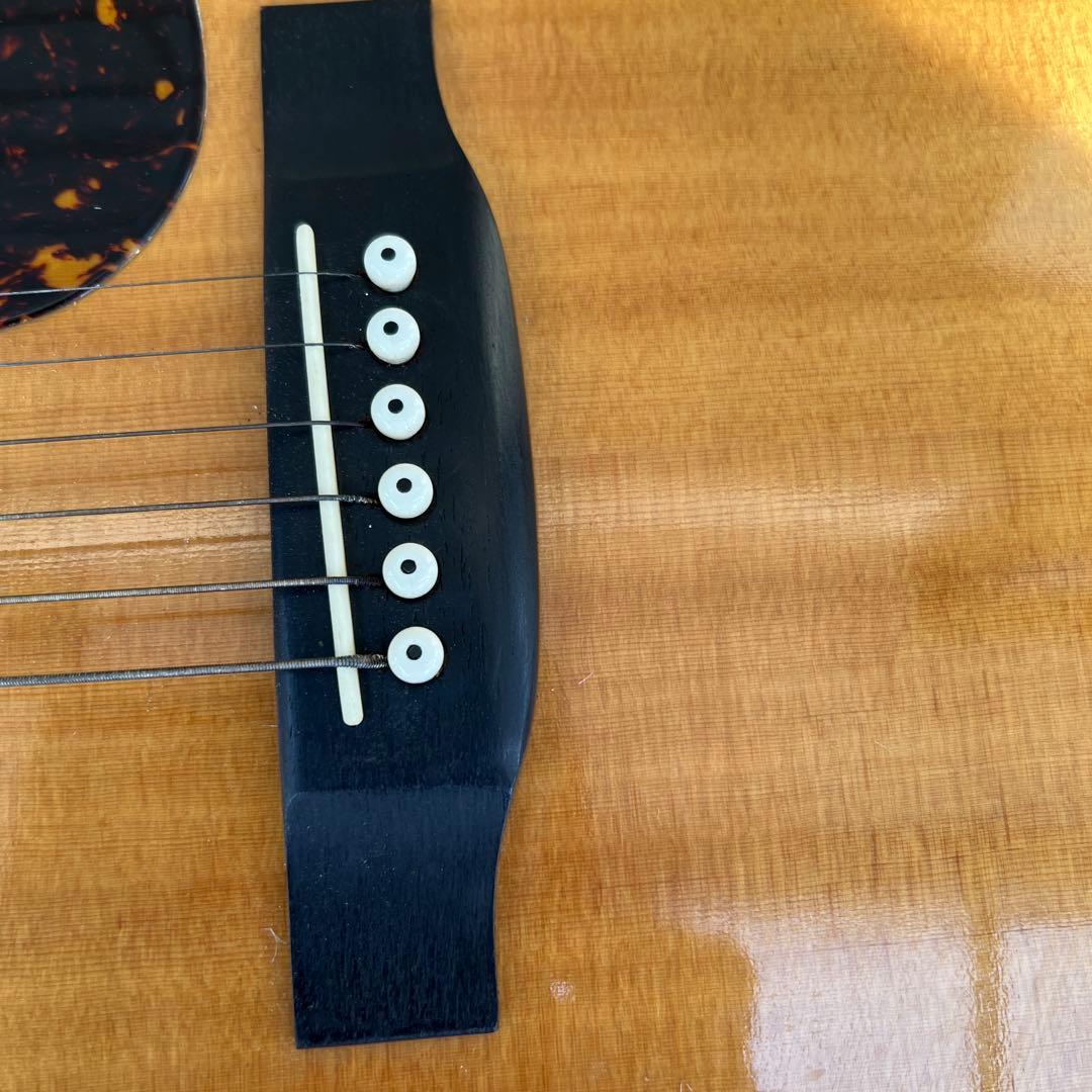 希少TOKAI GAKKI CatsEyes CE-800T 1212680 - メルカリ