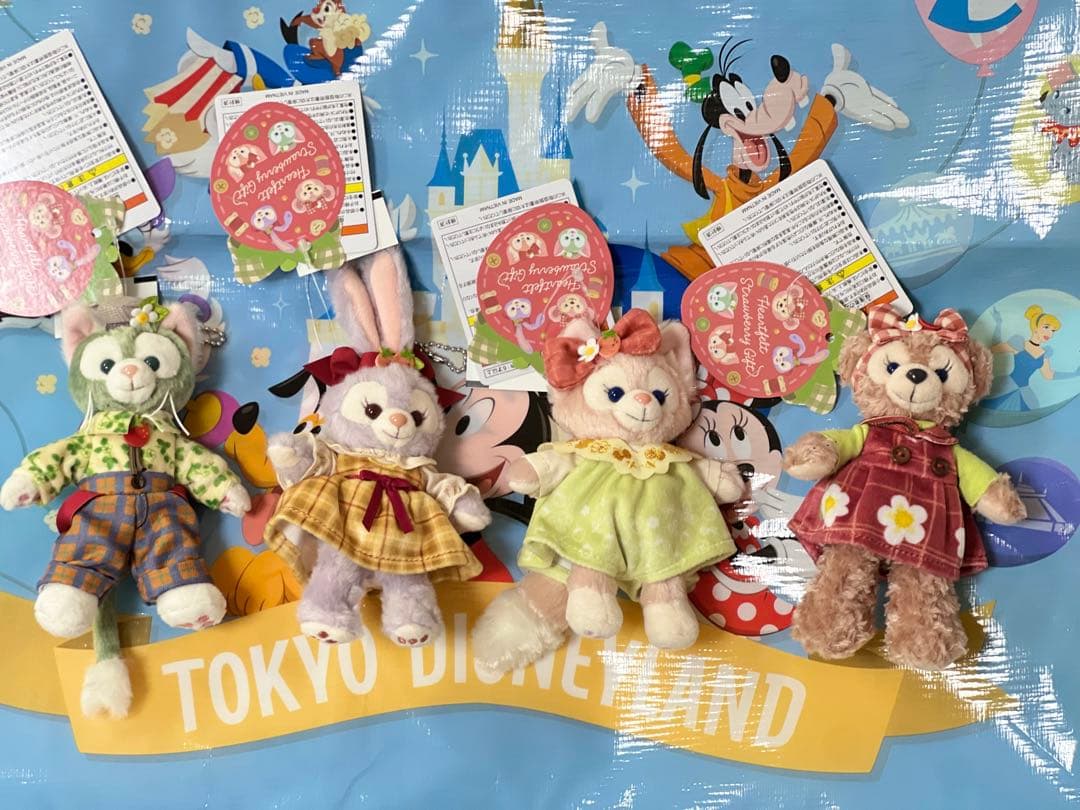 ハートフェルトストロベリーギフトぬいぐるみバッジ4点セット