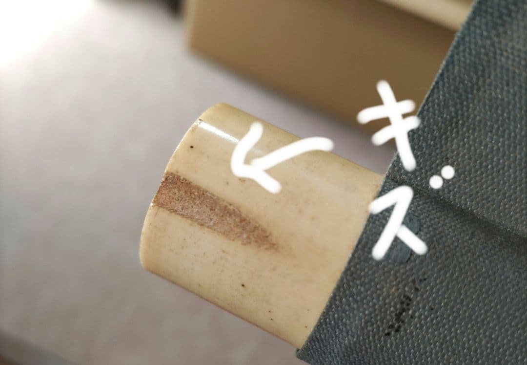 松竹梅鶴の図 石川有隣 Y250