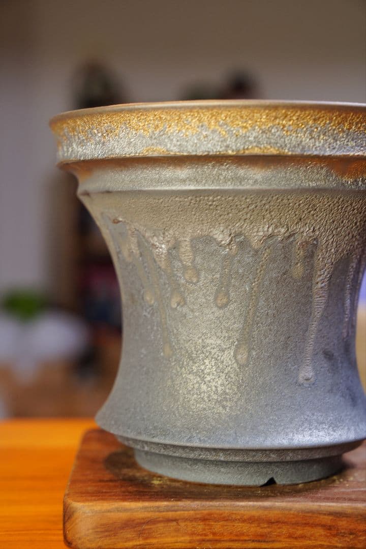 盆栽鉢 大型 特大 龍 竜 彫刻 Dragon 植木鉢 bonsai さつき 盆栽鉢